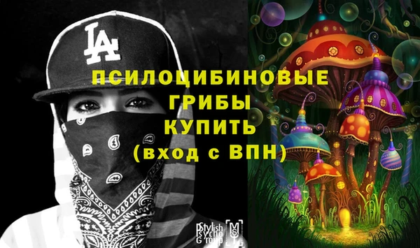 apvp Алексеевка