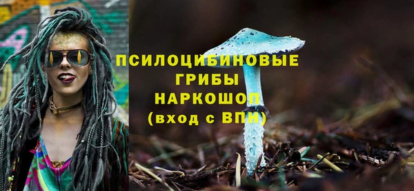 apvp Алексеевка