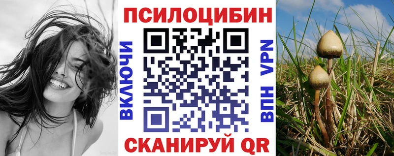 ссылка на мегу онион  закладка  Арсеньев  Галлюциногенные грибы Cubensis 
